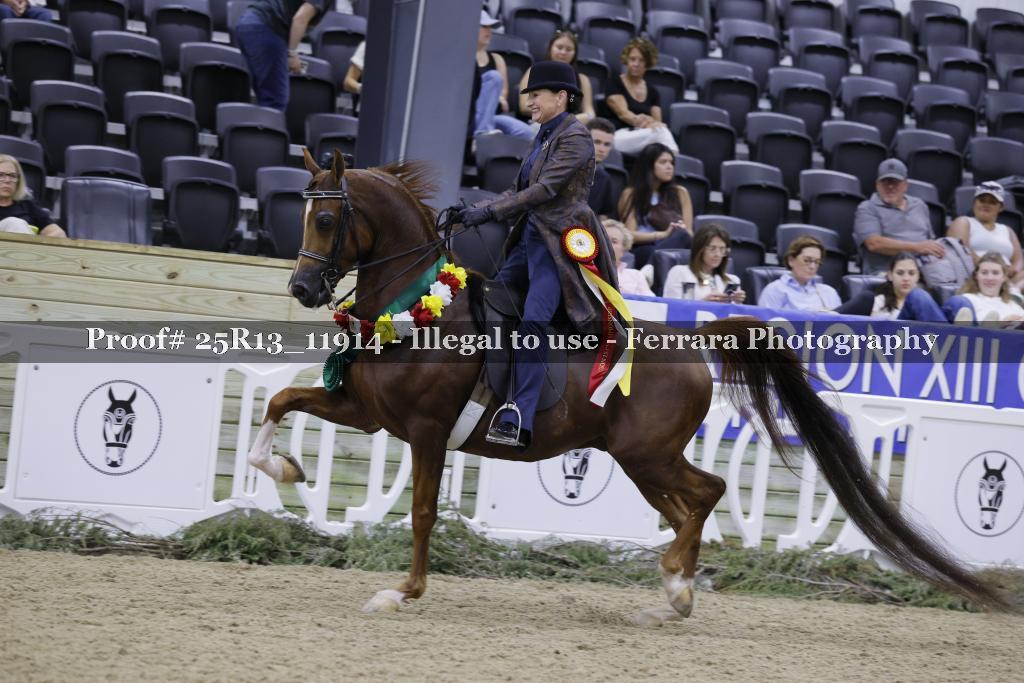 Proof 25R13_11914