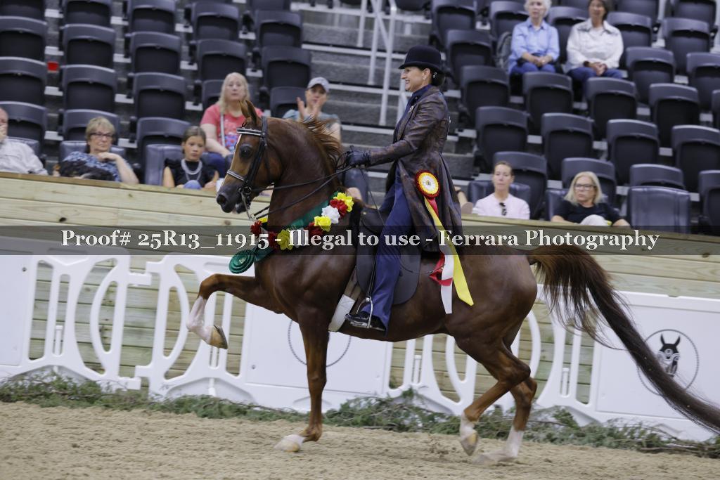 Proof 25R13_11915