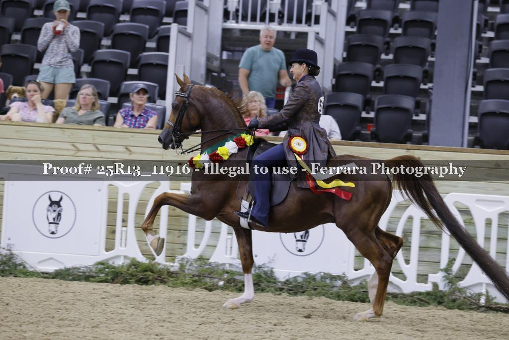 Proof 25R13_11916
