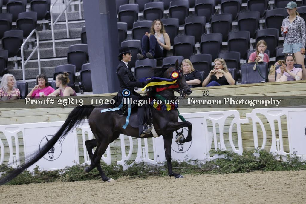 Proof 25R13_11920