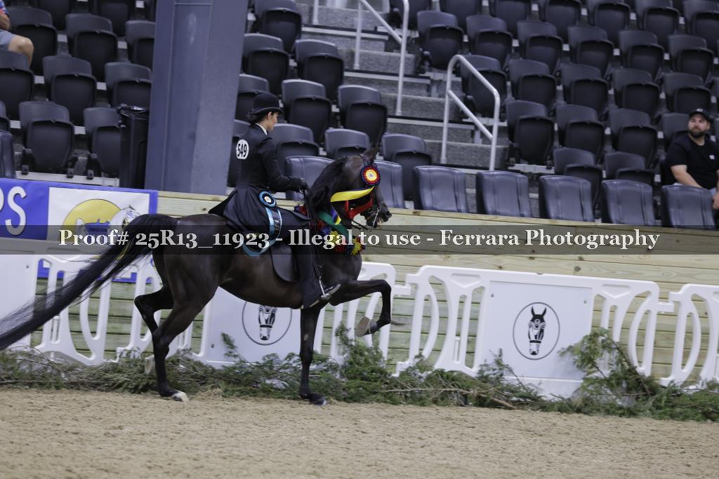 Proof 25R13_11923