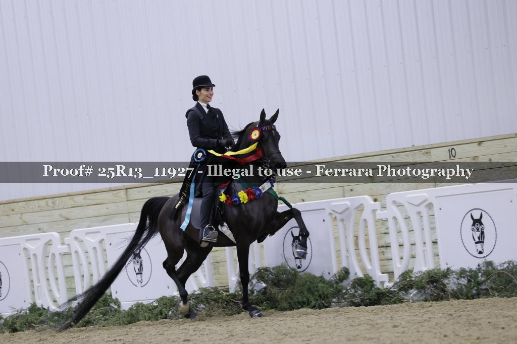 Proof 25R13_11927