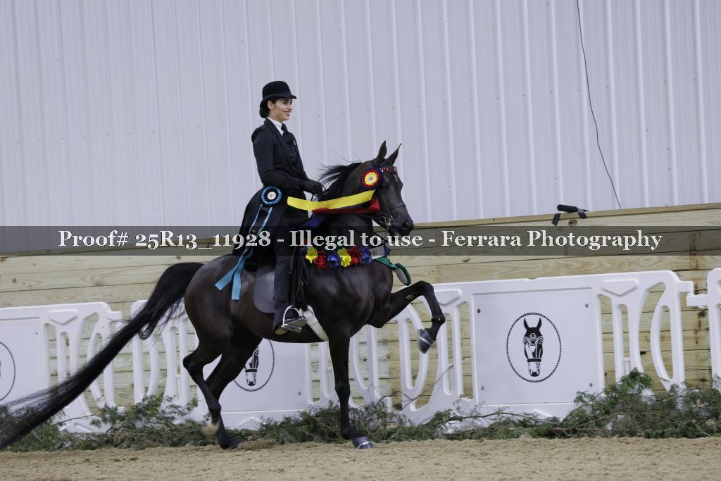 Proof 25R13_11928