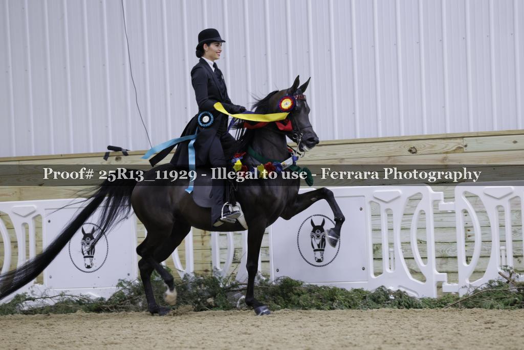 Proof 25R13_11929