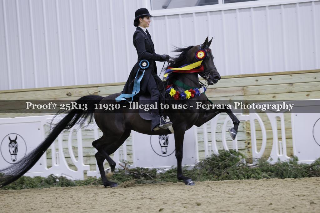 Proof 25R13_11930