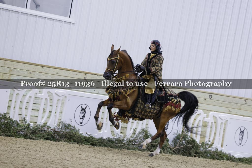 Proof 25R13_11936