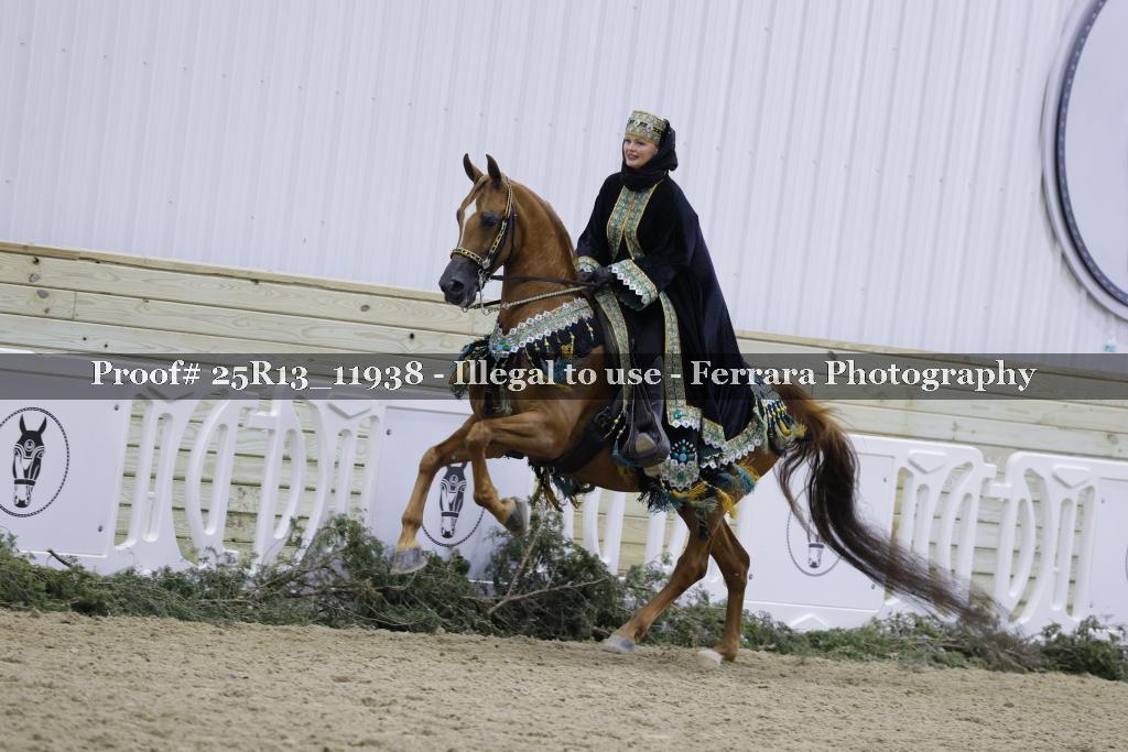 Proof 25R13_11938