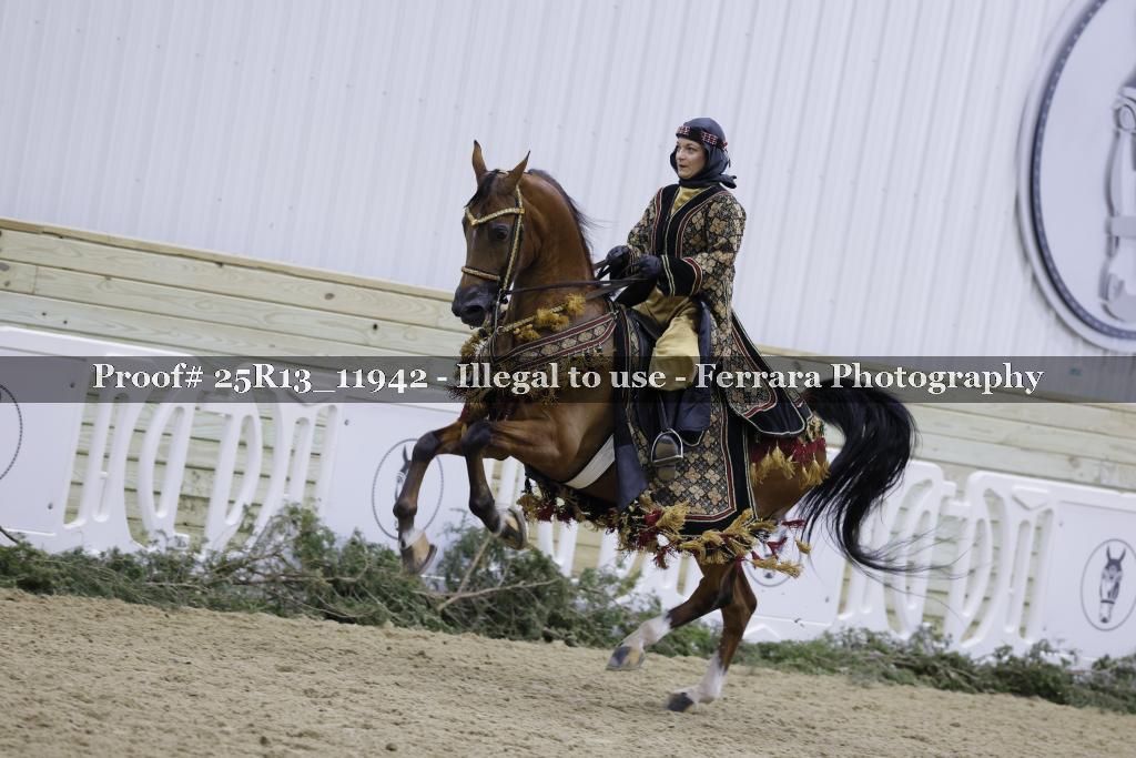 Proof 25R13_11942