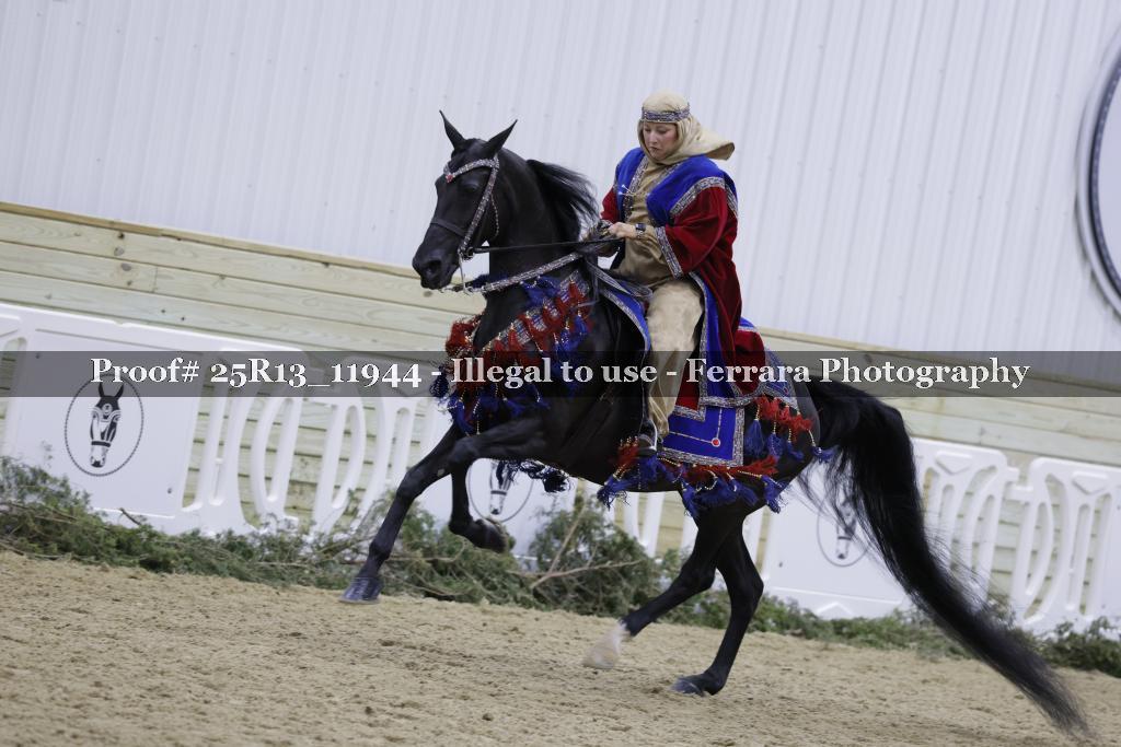 Proof 25R13_11944