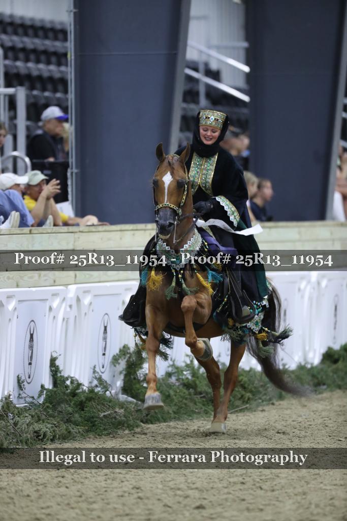 Proof 25R13_11954