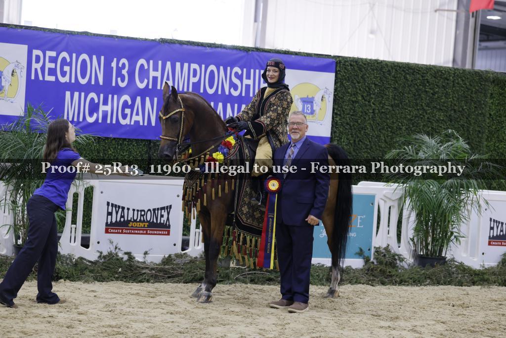 Proof 25R13_11960