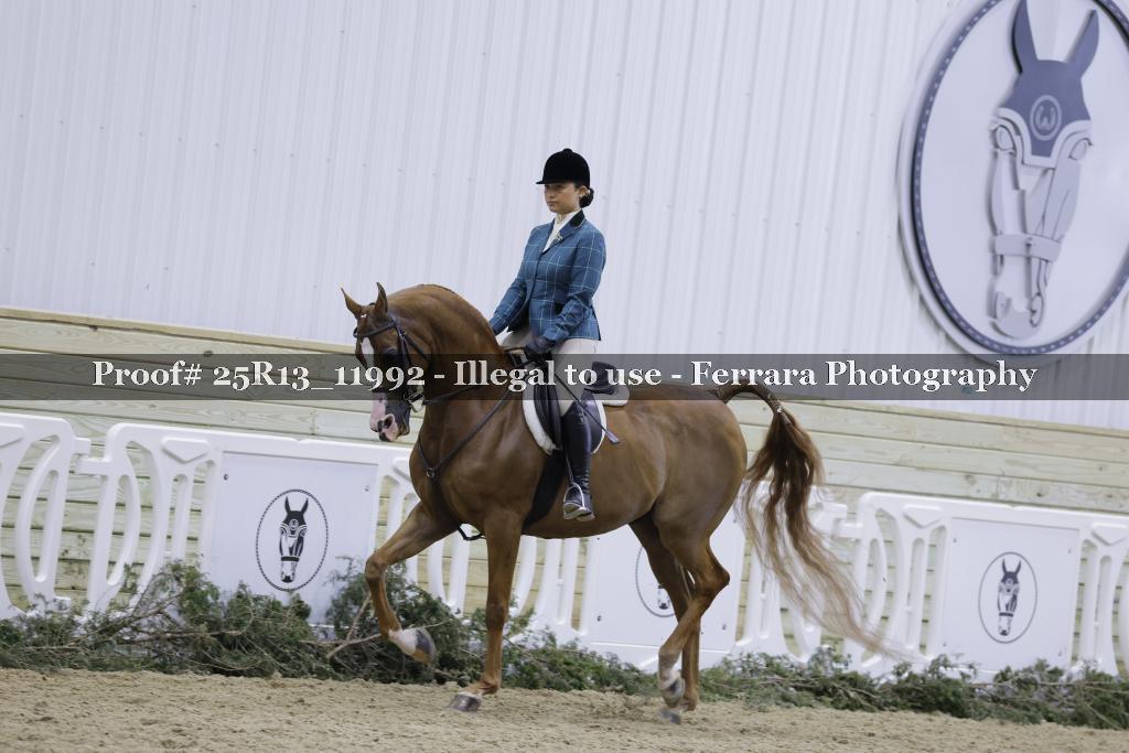 Proof 25R13_11992