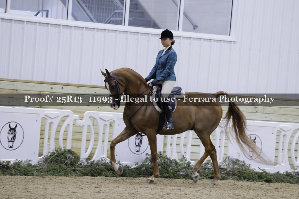 Proof 25R13_11993