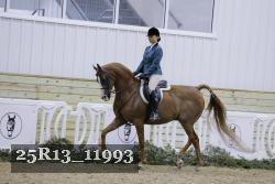 25R13_11993 proof