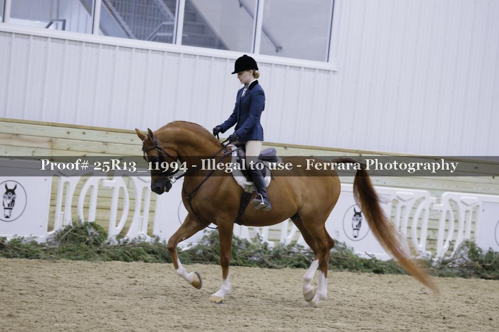 Proof 25R13_11994