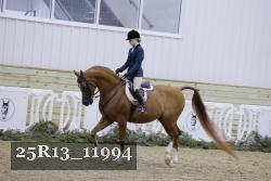 25R13_11994 proof