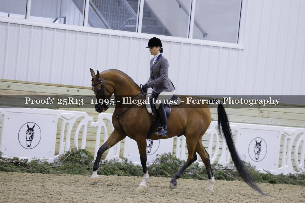 Proof 25R13_11995