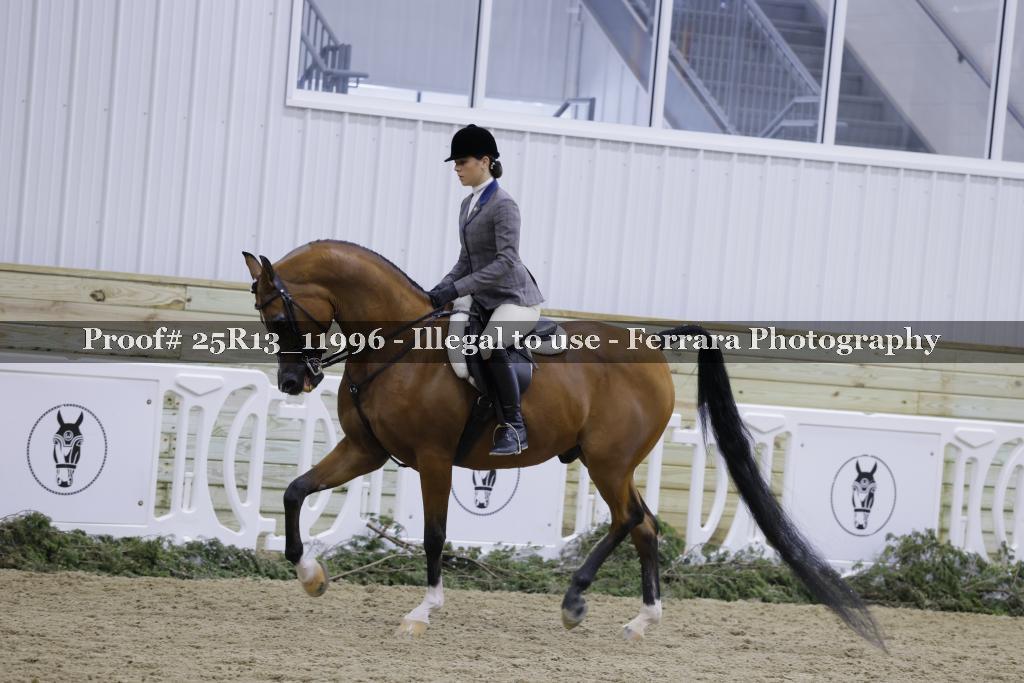 Proof 25R13_11996