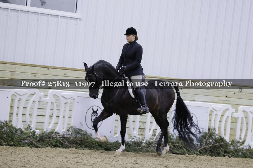 Proof 25R13_11997