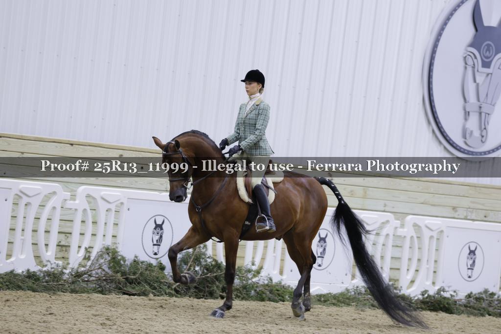 Proof 25R13_11999