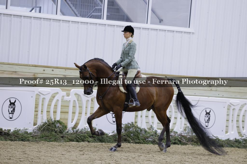 Proof 25R13_12000