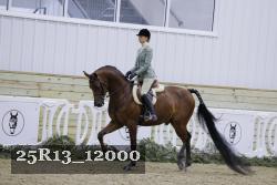 25R13_12000 proof
