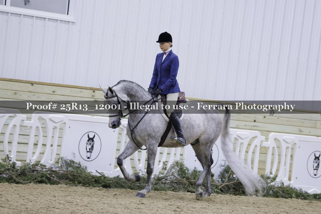 Proof 25R13_12001