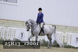 25R13_12001 proof