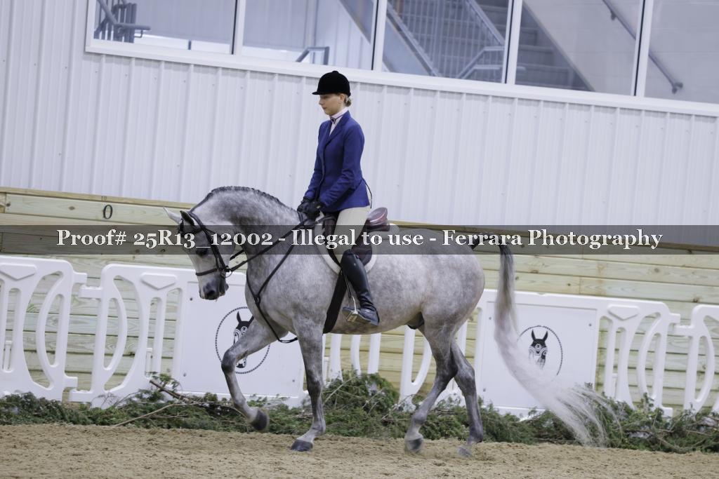 Proof 25R13_12002