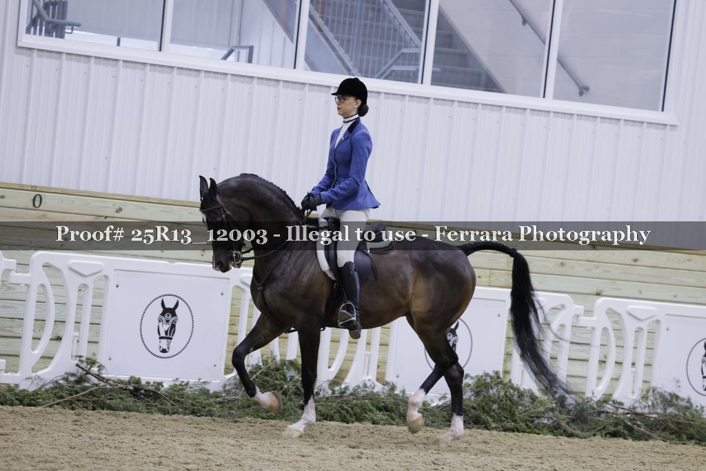 Proof 25R13_12003