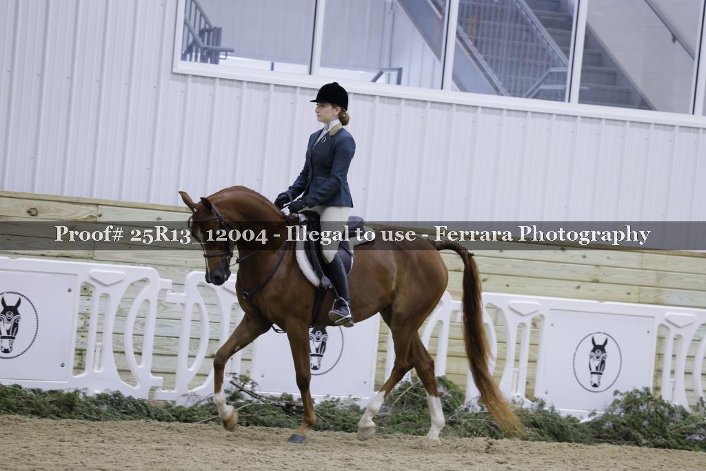 Proof 25R13_12004