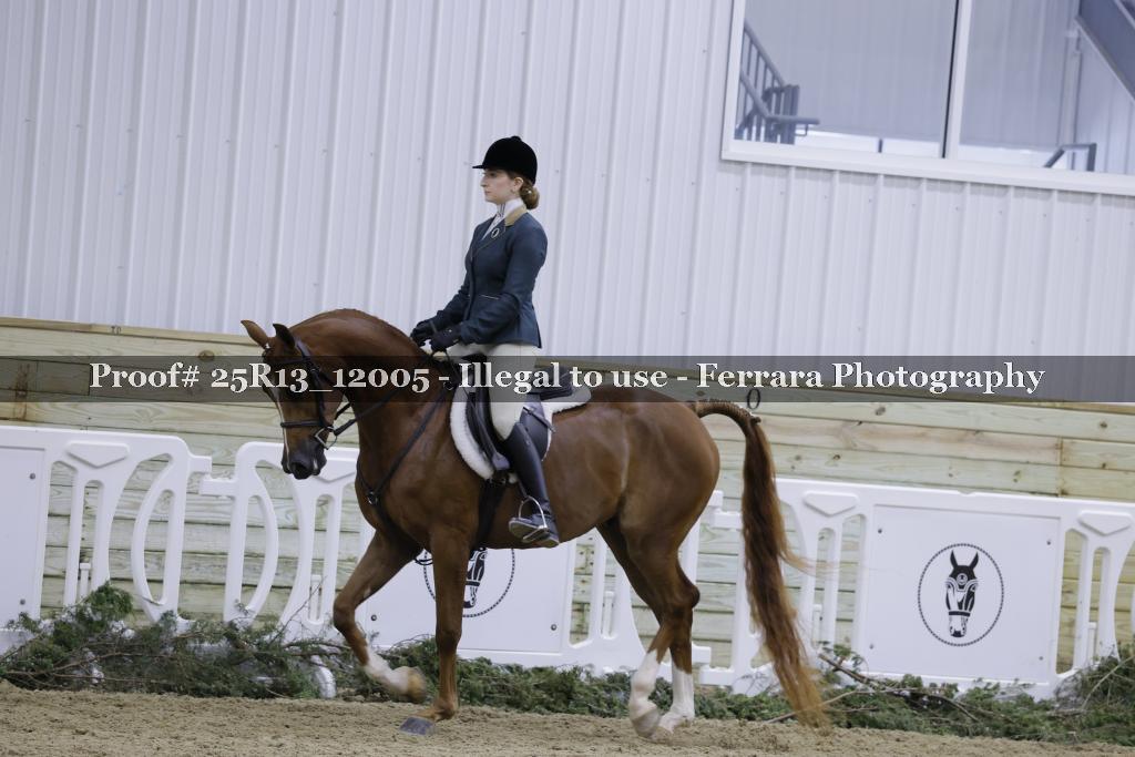 Proof 25R13_12005