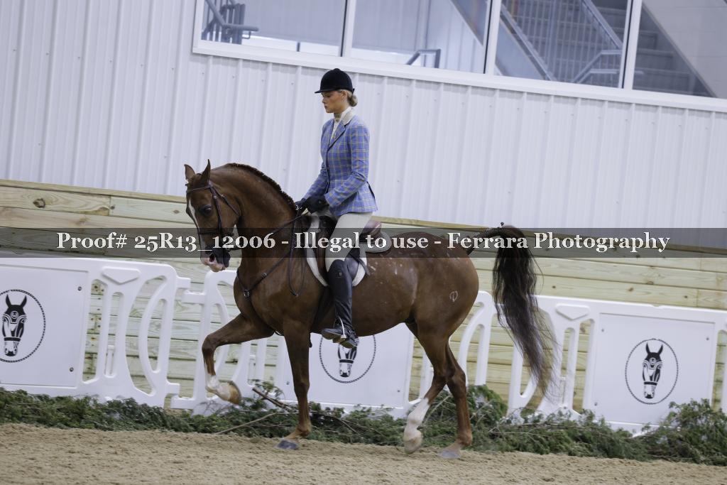 Proof 25R13_12006