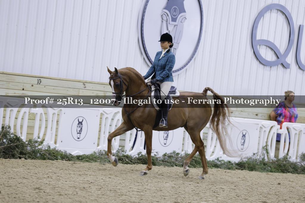 Proof 25R13_12007