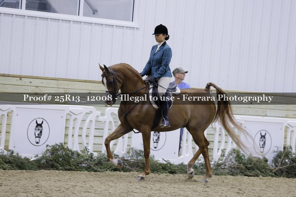 Proof 25R13_12008