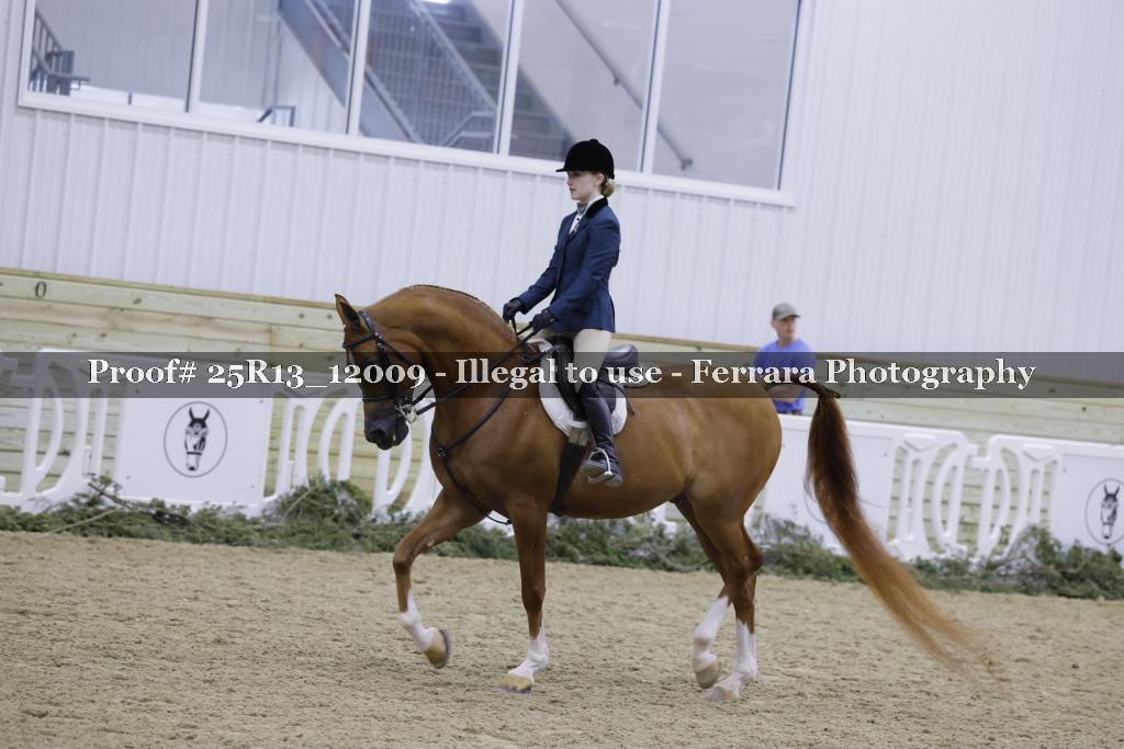 Proof 25R13_12009