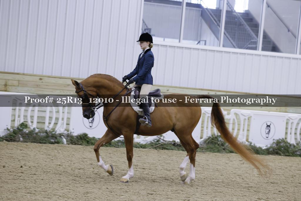 Proof 25R13_12010