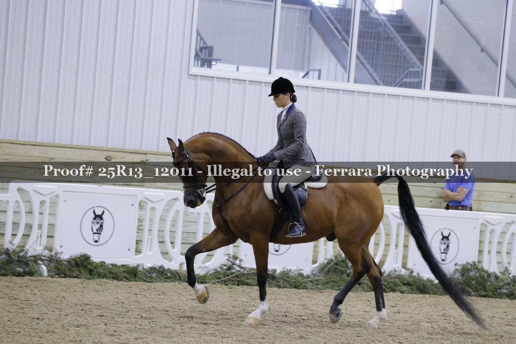 Proof 25R13_12011