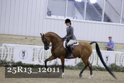 25R13_12011 proof