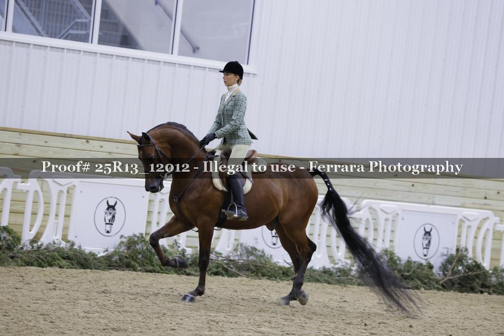 Proof 25R13_12012