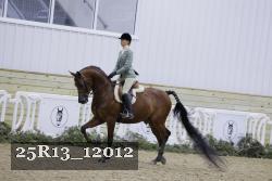 25R13_12012 proof