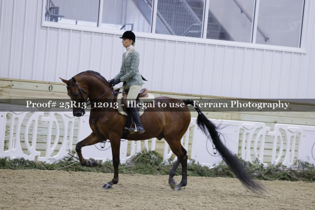 Proof 25R13_12013