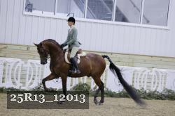 25R13_12013 proof