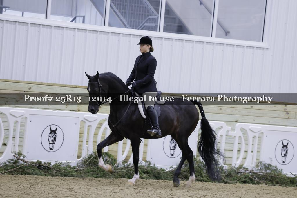 Proof 25R13_12014