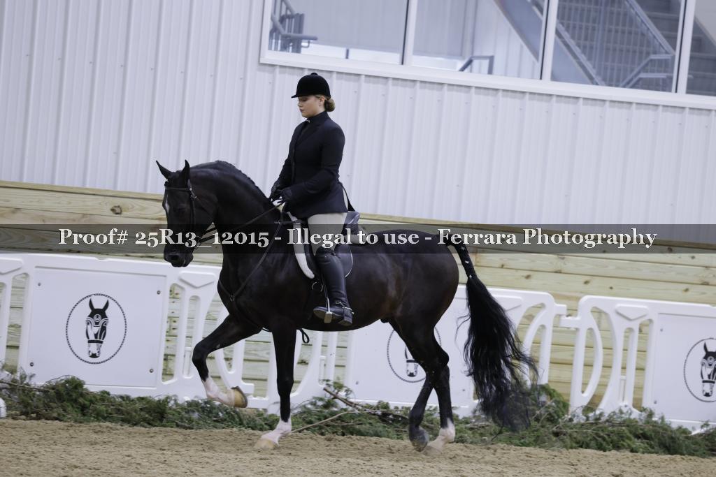 Proof 25R13_12015
