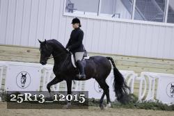 25R13_12015 proof