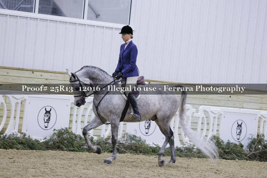 Proof 25R13_12016
