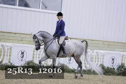 25R13_12016 proof