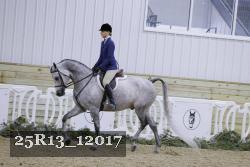 25R13_12017 proof