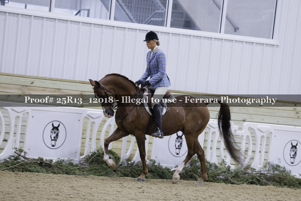 Proof 25R13_12018